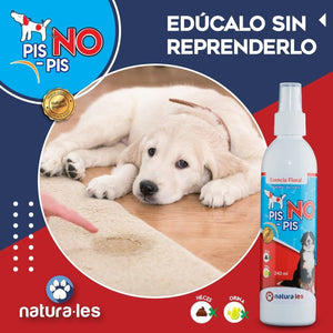 🐶UD. QUÉ PREFIERE? EDUCAR O CASTIGAR!! 🐩LLEGÓ EL KIT PARA EDUCAR A SU MASCOTA!!✈️💵PAGA CONTRA ENTREGA Y ENVIO GRATIS!!! 🚛💵 - Sólo Enlázate On Line - EFUSOEXTERNO - 0 - 1